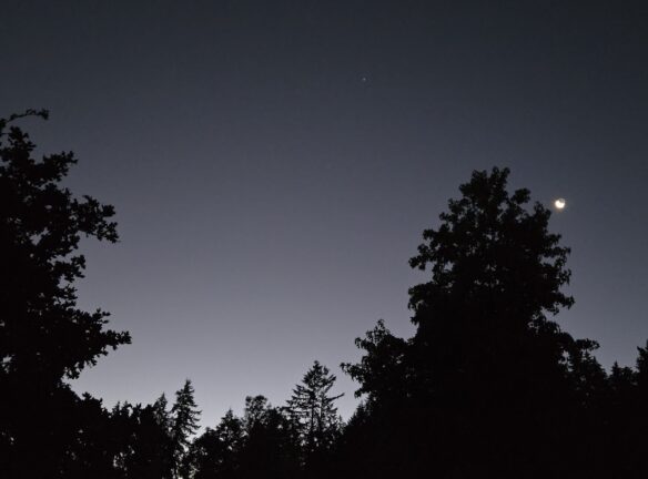 The waning crescent