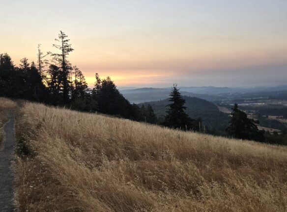The last sunrise in July 2024