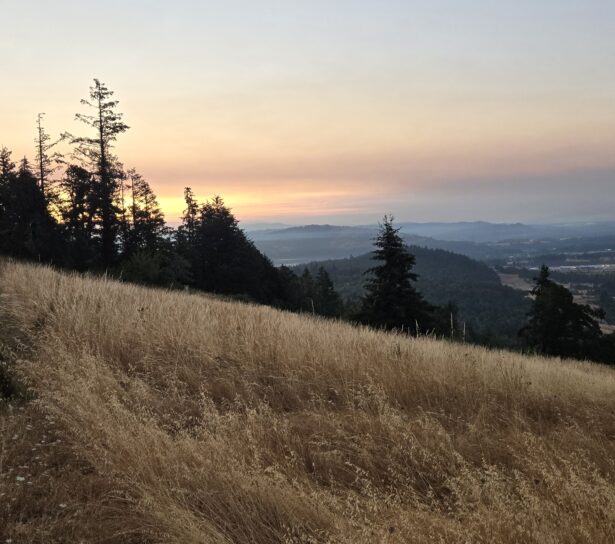 The last sunrise in July 2024
