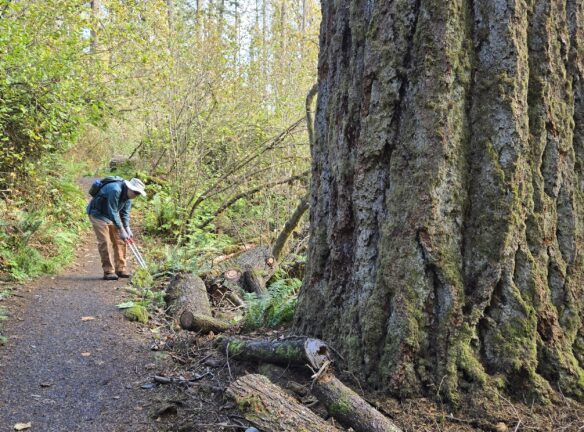 Dave Preedek, Spencer Butte Trail M. 10.26.2024