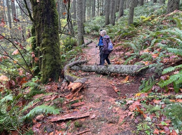 Caroline and Carla step over trees across the trail. We notified Eugene Parks and Open Space (Marlon) and they were removed the next day along with with many leaves.