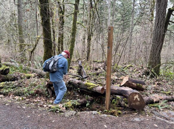 Dan shoveling in the midst of a log jam.