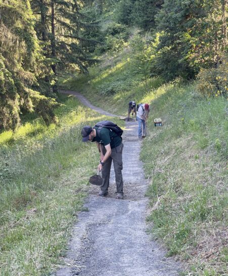 Joe, Dan, and Beejay chipping in drainage through the trail tread.