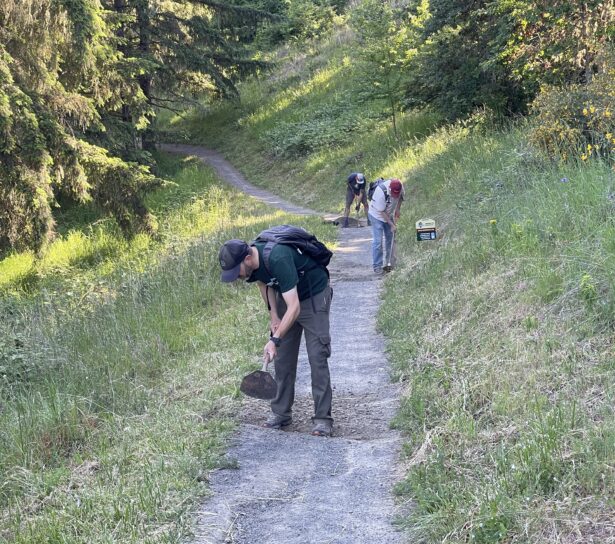 Joe, Dan, and Beejay chipping in drainage through the trail tread.