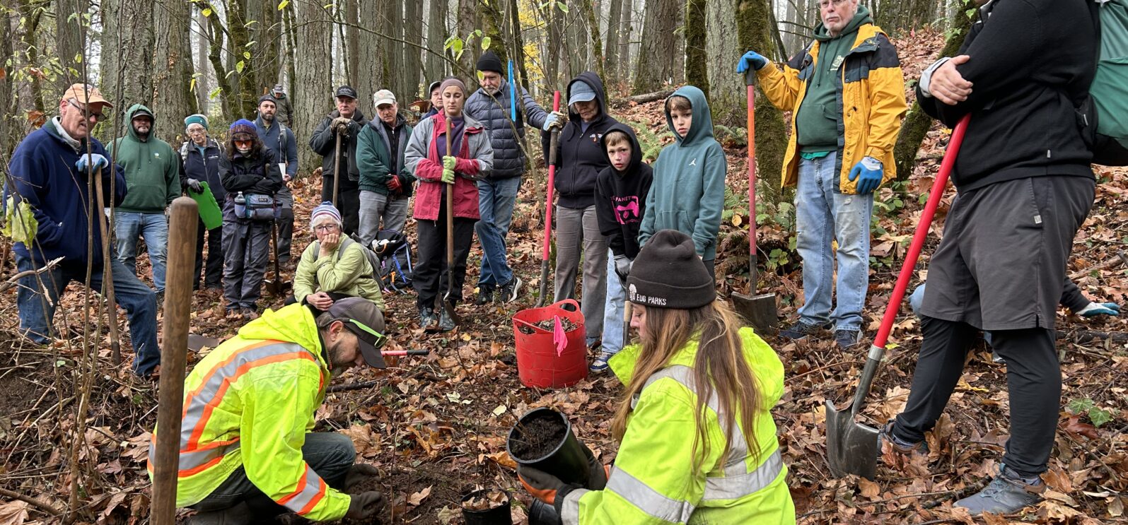 City staff - Joe and Kelsey's demonstration on the steps for planting.