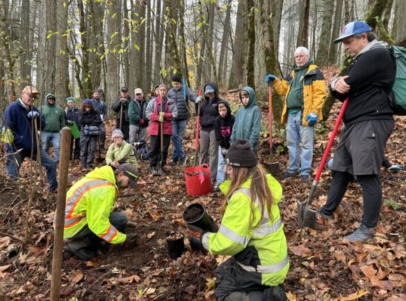City staff - Joe and Kelsey's demonstration on the steps for planting.