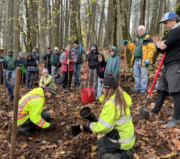 City staff - Joe and Kelsey's demonstration on the steps for planting.