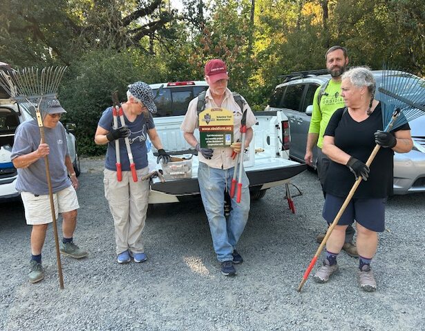 Clara, Mari, Dan, Matt, and Eva ready to get started.