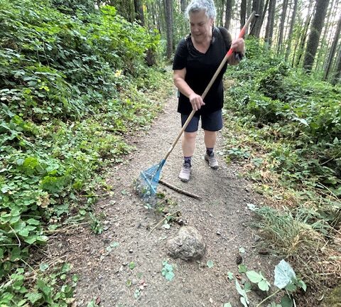 Eva diligently raking debris from the trail tread.