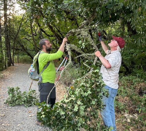 Dan and Matt pruning back oak that was hanging way too low over the trail.