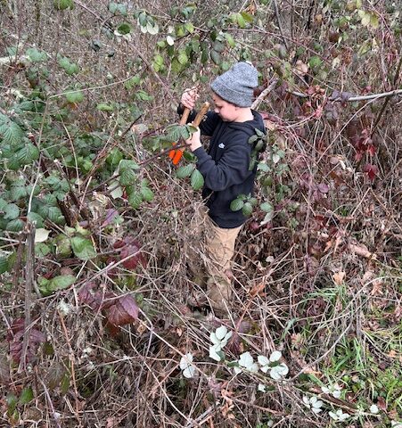 Oliver cutting blackberries to retrieve discarded cans and bottles.