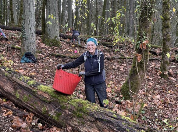 Janet lifting one of the mulch carriers over the log.