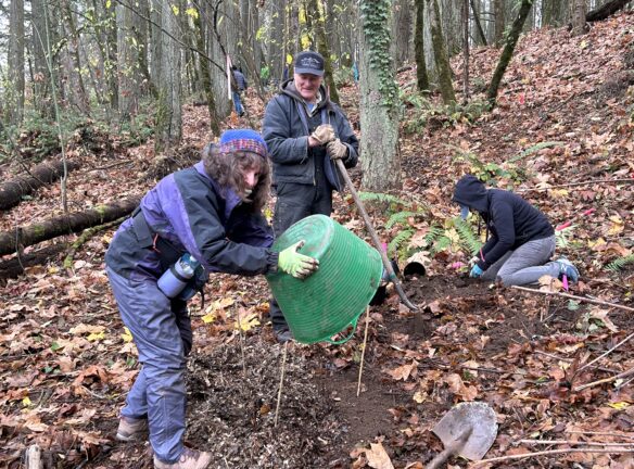 Jennifer adding more mulch to the nests.