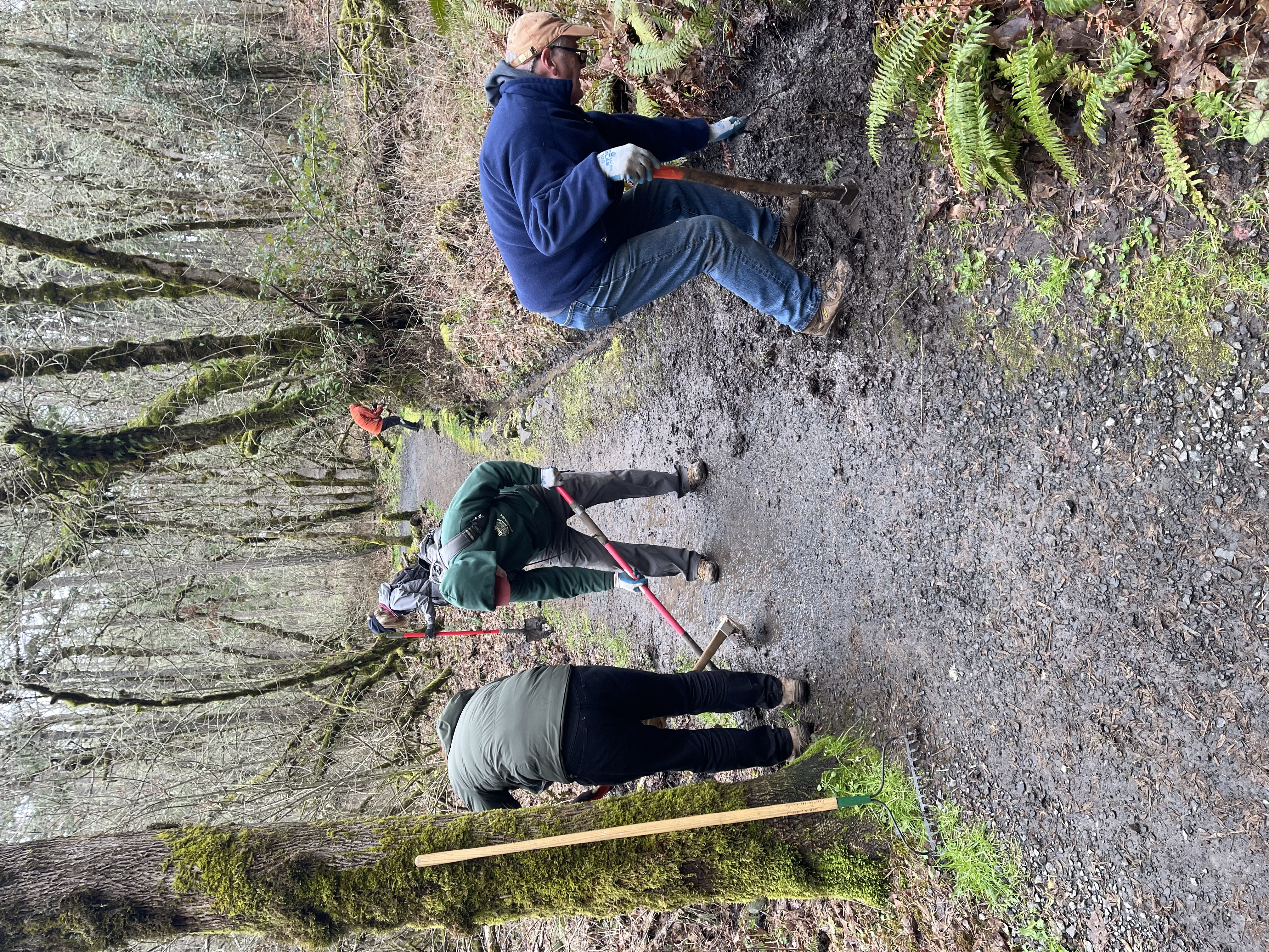The group hard at work clearing and extending the drainage ditch.