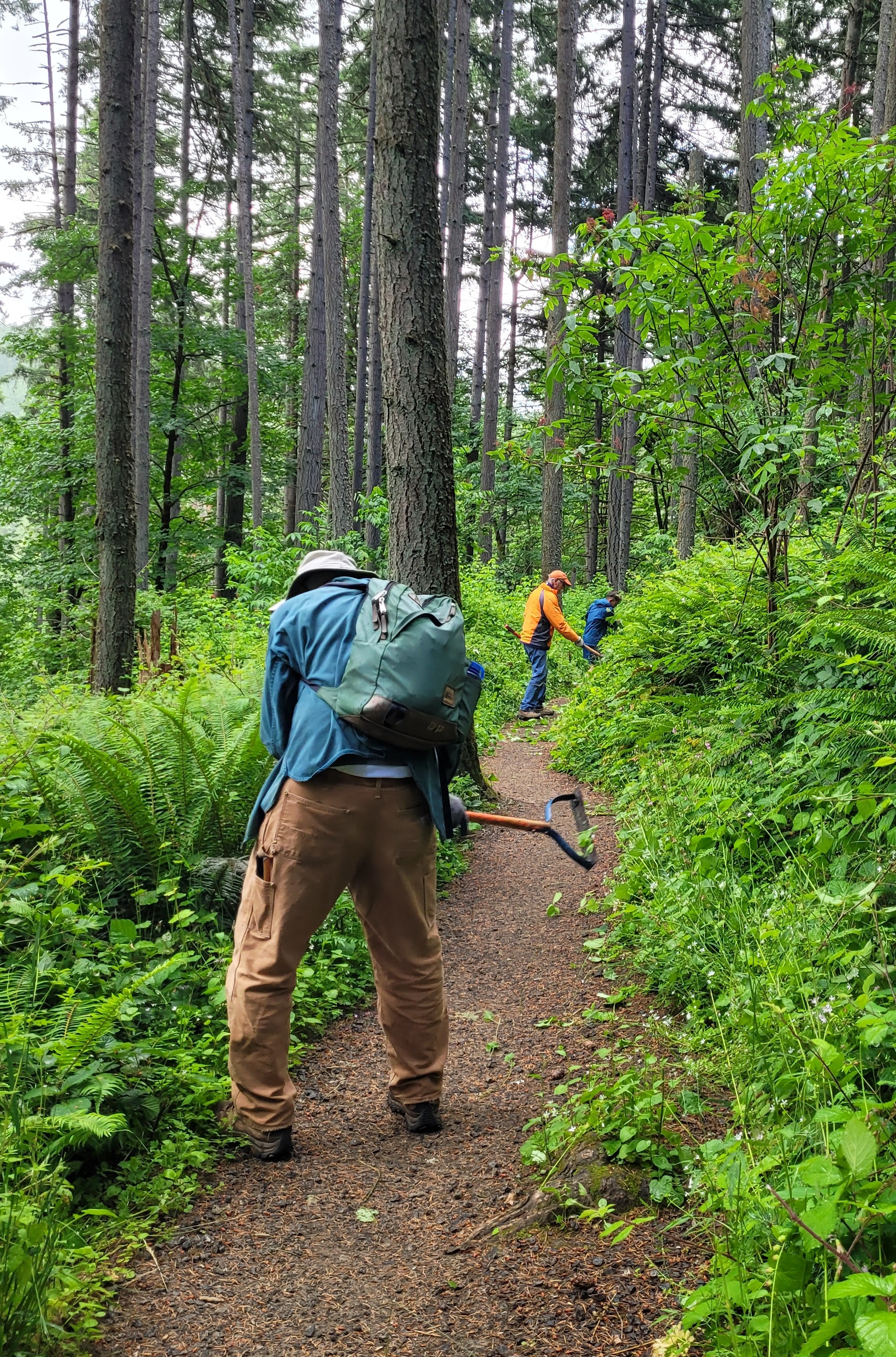 Dave, David, and Sony cutting back the trailsides.