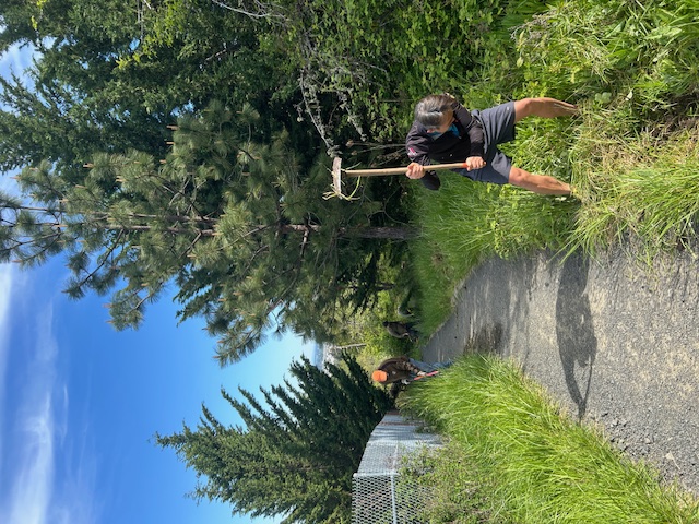 Sony swinging hard to re-establish the drainage ditch through heavy grasses.