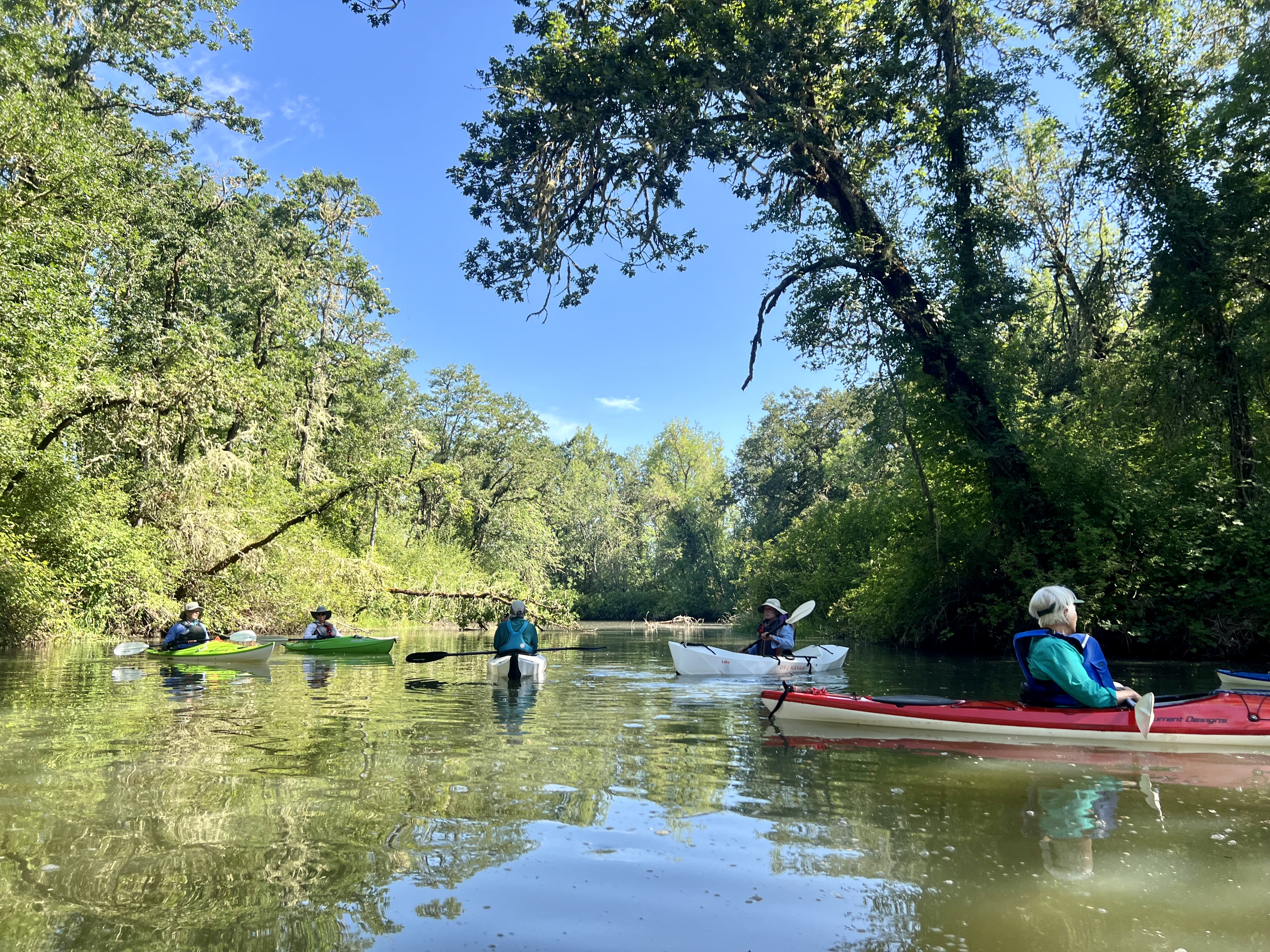 Coyote Creek 05-27-2026